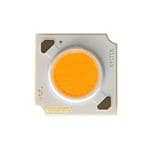 CREE 发光二极管 CMA1516-0000-000N0U0A31Q