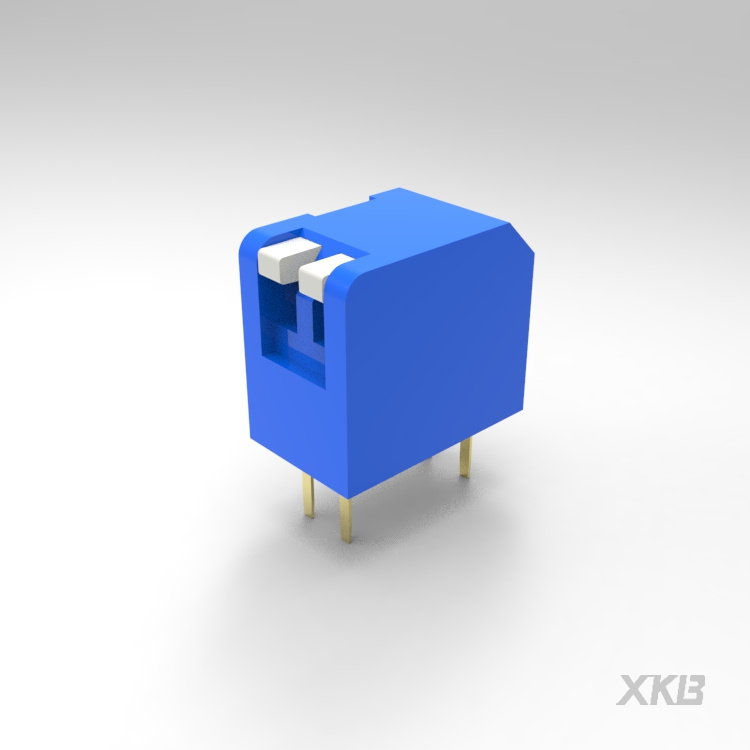 DPL-02BLS-DIP 开关-云汉芯城ICKey.cn