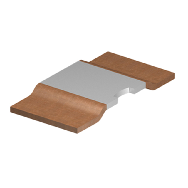 VISHAY INTERTECHNOLOGY 其它固定电阻 WSLP5931L1000FEA