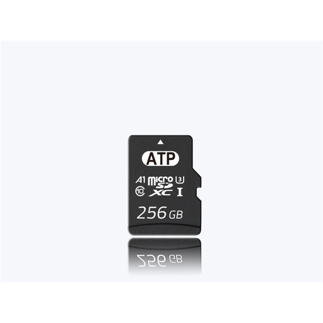 ATP ELECTRONICS/台湾华腾 存储器模块 AF128GUD4-BBBXM
