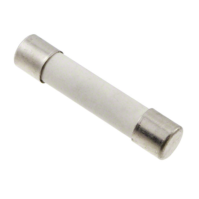 SCHURTER 熔断保险丝 8020.5071