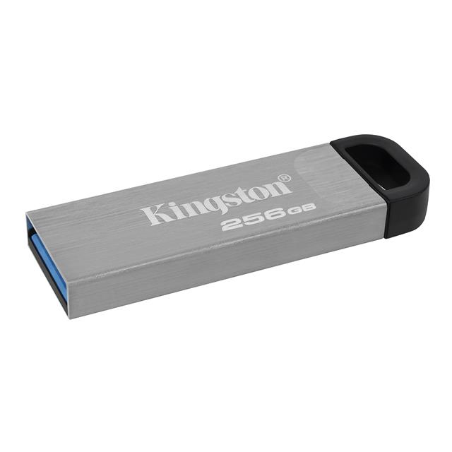 KINGSTON TECHNOLOGY USB闪存驱动器 DTKN/256GB