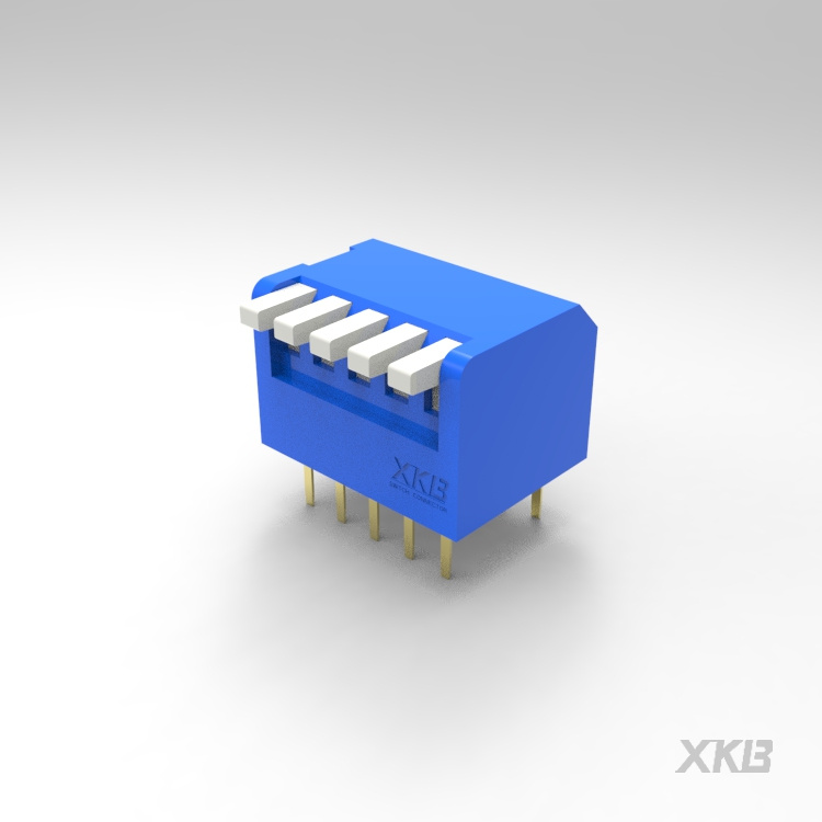 DPL-05BLP-DIP 开关-云汉芯城ICKey.cn