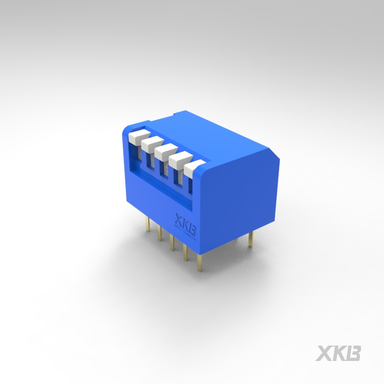 DPL-05BLS-DIP 开关-云汉芯城ICKey.cn