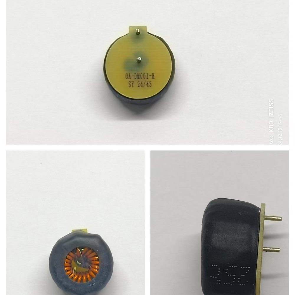 CHSHENYANG/上海燊阳电子 插件电感 OA-DM001-H
